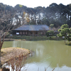 浄瑠璃寺 2009年