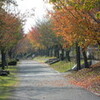散策コース秋の風景（２）