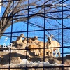 練習ログ　1/23-2/2