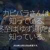 359食目「カピバラさんは知っている、冬至は[ ゆず湯 ]だと知っている。」2018年12月22日は冬至です。