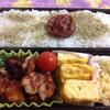 今日のお弁当