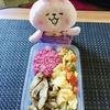 今週月曜日のDIET IN A BOXから朝昼夕の３食すべてダイエット弁当です！