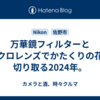 万華鏡フィルターとマクロレンズでかたくりの花を切り取る2024年。