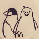 白湯のブログ