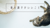 最近調子がいいこと