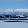 来春から単身で富山