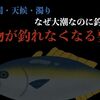 青物が釣れにくくなる、活性が低くなる要素