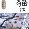 にゃんこ好きホイホイ＼(^o^)／静岡で「ねこ休み展」が開催❗️【3/16~】