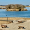 たぬき島と水の郷さわら（千葉県香取）