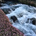 ありのすBlog　arinos_blog