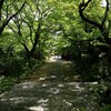もう４月26日