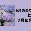6月の振り返りと7月に向けて