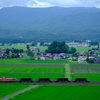 梅雨時の北上盆地を往く、DE10-1124牽引の東福島常駐ホキ800の廃車回送を撮る！