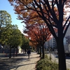 東京都現代美術館