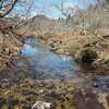2021年4月11日(日)　京都北山最大の湿原・八丁平から、トクワカソウ咲く鎌倉山を歩く！