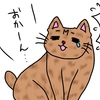 【イラスト】家猫が怪我！？原因はやっぱり…