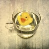 【もし海がウイスキーだったら】酒なくて　なんの日暮れか　人生か