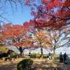 石清水八幡宮へ紅葉見に行く②観光９…過去20171128京都