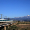 大山の麓で381系「やくも」を撮る その3　2024年 伯備遠征⑤