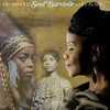 Soul Survivor (A Life In Song) - P.P. Arnold