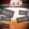 雄山ごっこニャン！