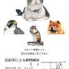 個展