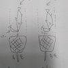 タモ入れの正しいやり方とは！？