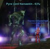 Pyre Lord Narseekin+Exp