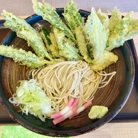 生そば玉川（錦糸町）冷やし明日葉天そば