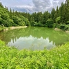 蓴菜池（新潟県長岡）