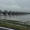 台風のあと