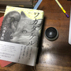 不可思議な　シュールな　〜「ワカタケル」池澤夏樹