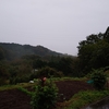 秦野　転　天気　　　最高気温14度　雨☂