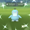 ヨマワルの色違いをゲットで サマヨール ヨノワールへ進化 Pokemon Go Get