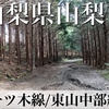 【車載動画】山梨県山梨市 林道一ツ木線/東山中部林道