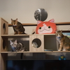 テレビ台は大人気！