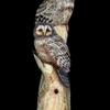 美浜町でフクロウ公開制作
