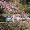 箱根登山電車の踏切