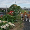 丸子川遊歩道の彼岸花