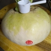 淀大根を買ってみた