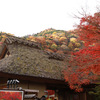 宝厳院～京の紅葉2010