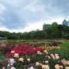 神代植物公園－屋外へ