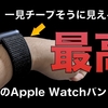 【レビュー記事】学生Apple信者によるApple Watchスポーツループバンド使用感レビュー。メリットとデメリットが表裏一体の最高のバンド。