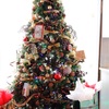 Joyeux Noël 