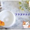 プラズマクリームに新バージョン続々登場