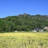 山行記　右田ヶ岳　塔の岡ルート→天徳寺ルート