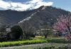 安曇野桜百景　光城山