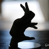 影絵の手～動物～これ、な～んだ？【Shadow Play Hand Animal】