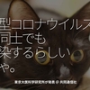 932食目「新型コロナウイルスは、猫同士でも感染するらしい、にゃ。」東京大医科学研究所が発表 @ 共同通信社