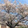 みなとみらいのスポット